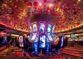 wine 101 Live Casino